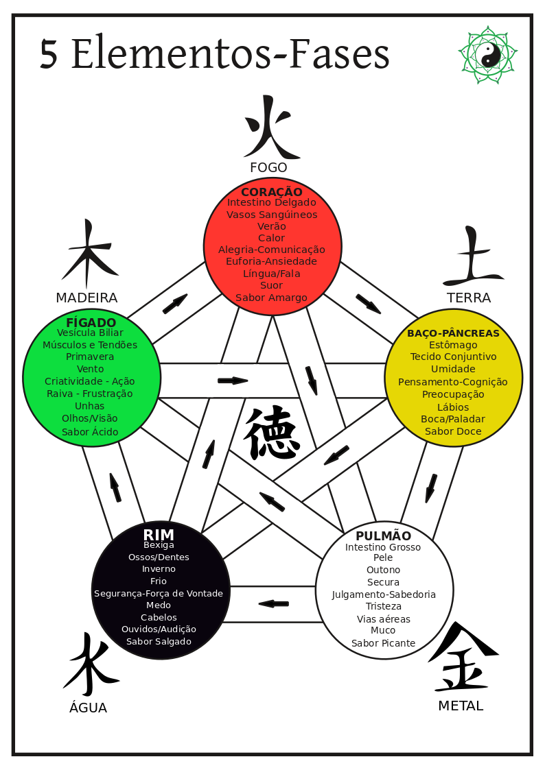Mapa 5 Elementos (Pequeno) - NutriEvas - Especializada em Medicina  Tradicional Chinesa